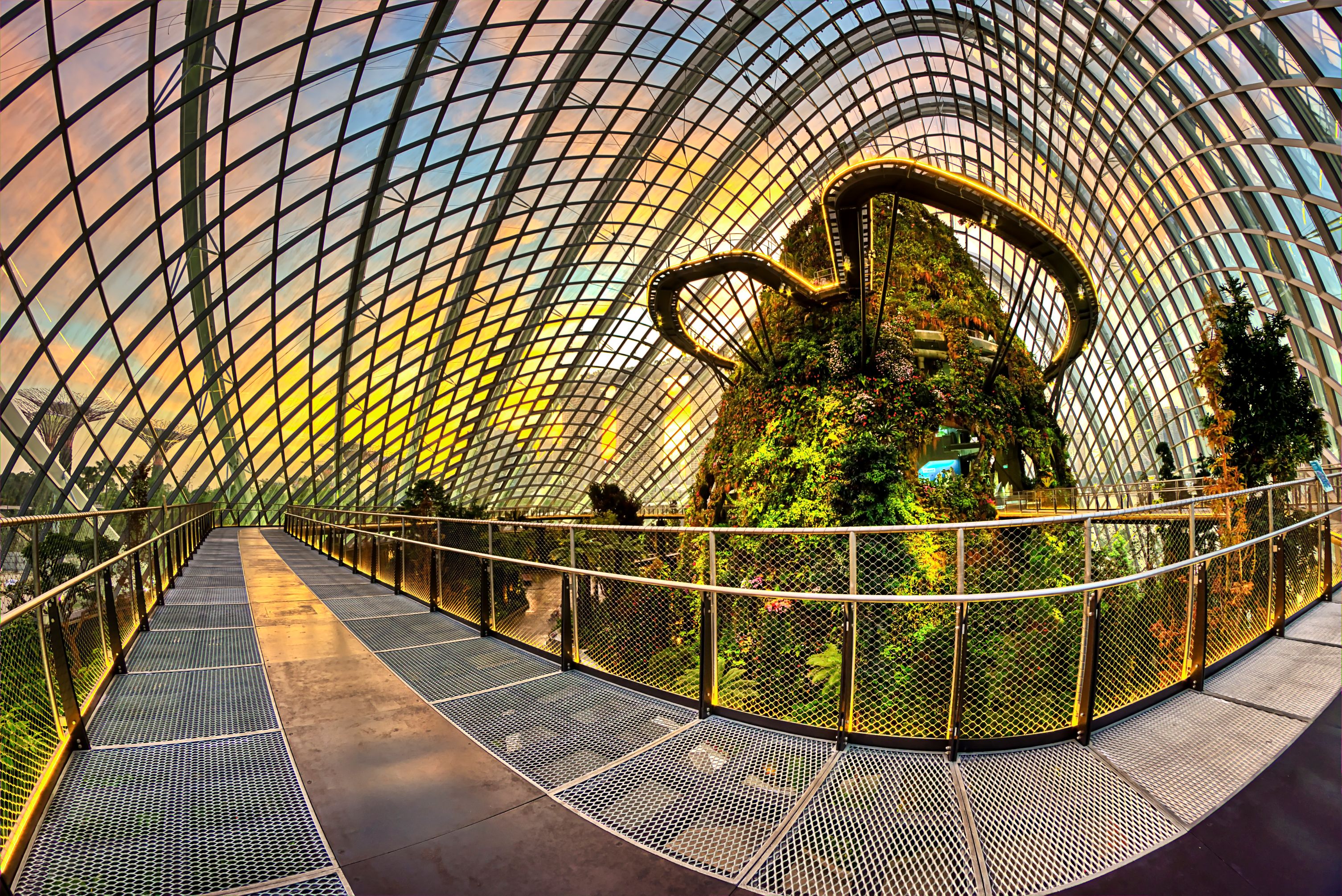 Gardens By The Bay + Supertree Observatory (Entry till 4pm)