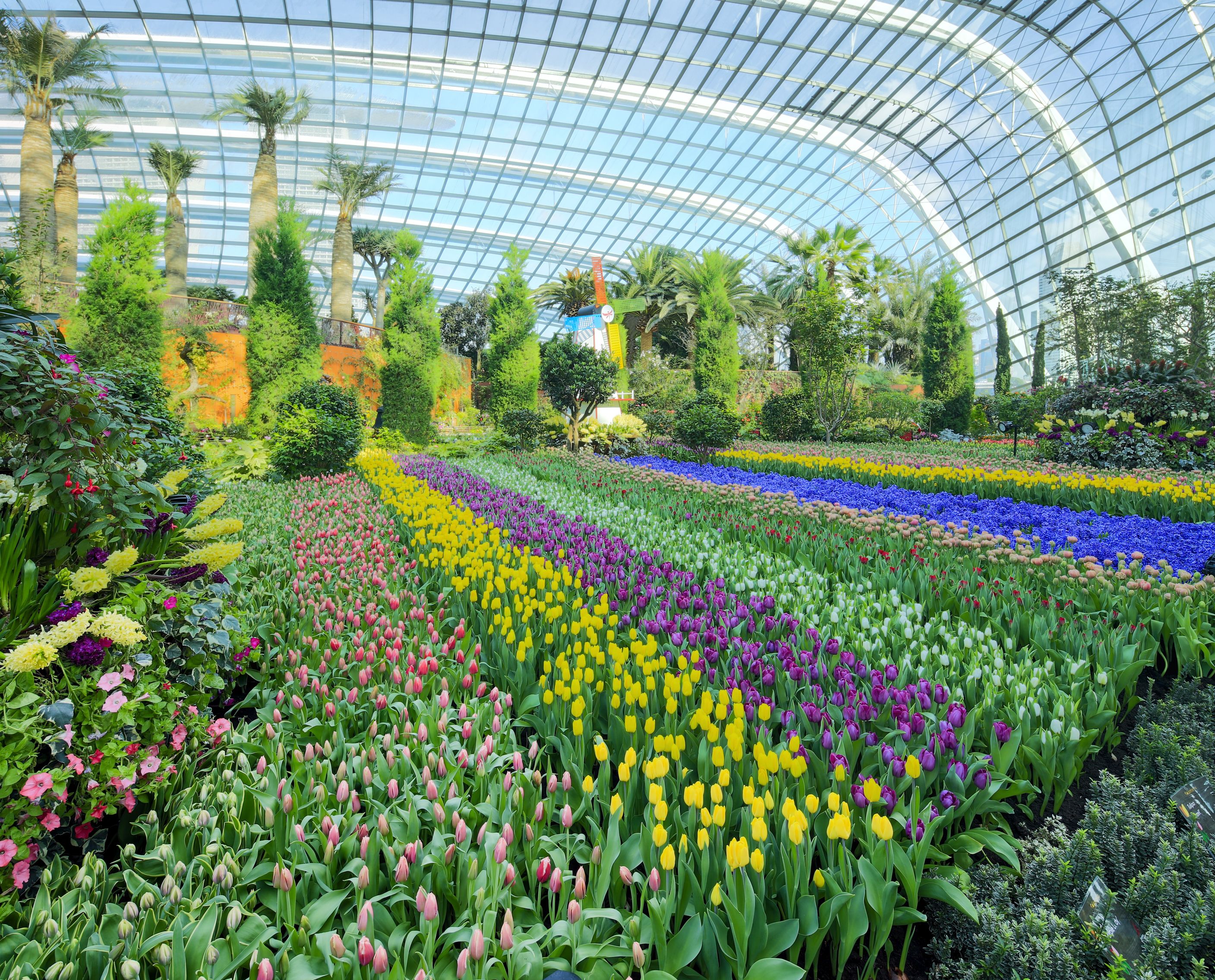 Gardens By The Bay + RISE Restaurant @ Marina Bay Sands