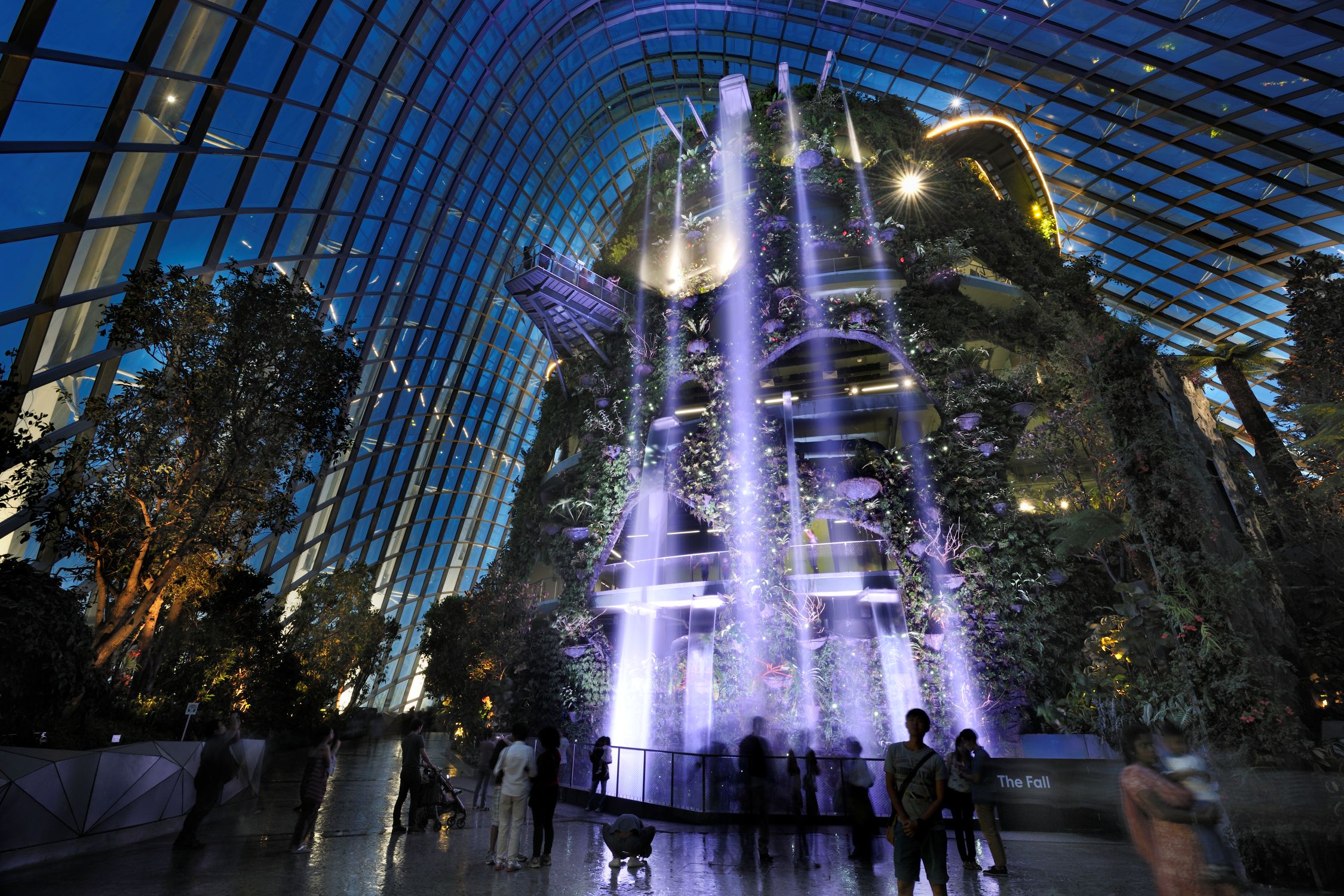 Gardens By The Bay + Supertree Observatory (Entry till 4pm)