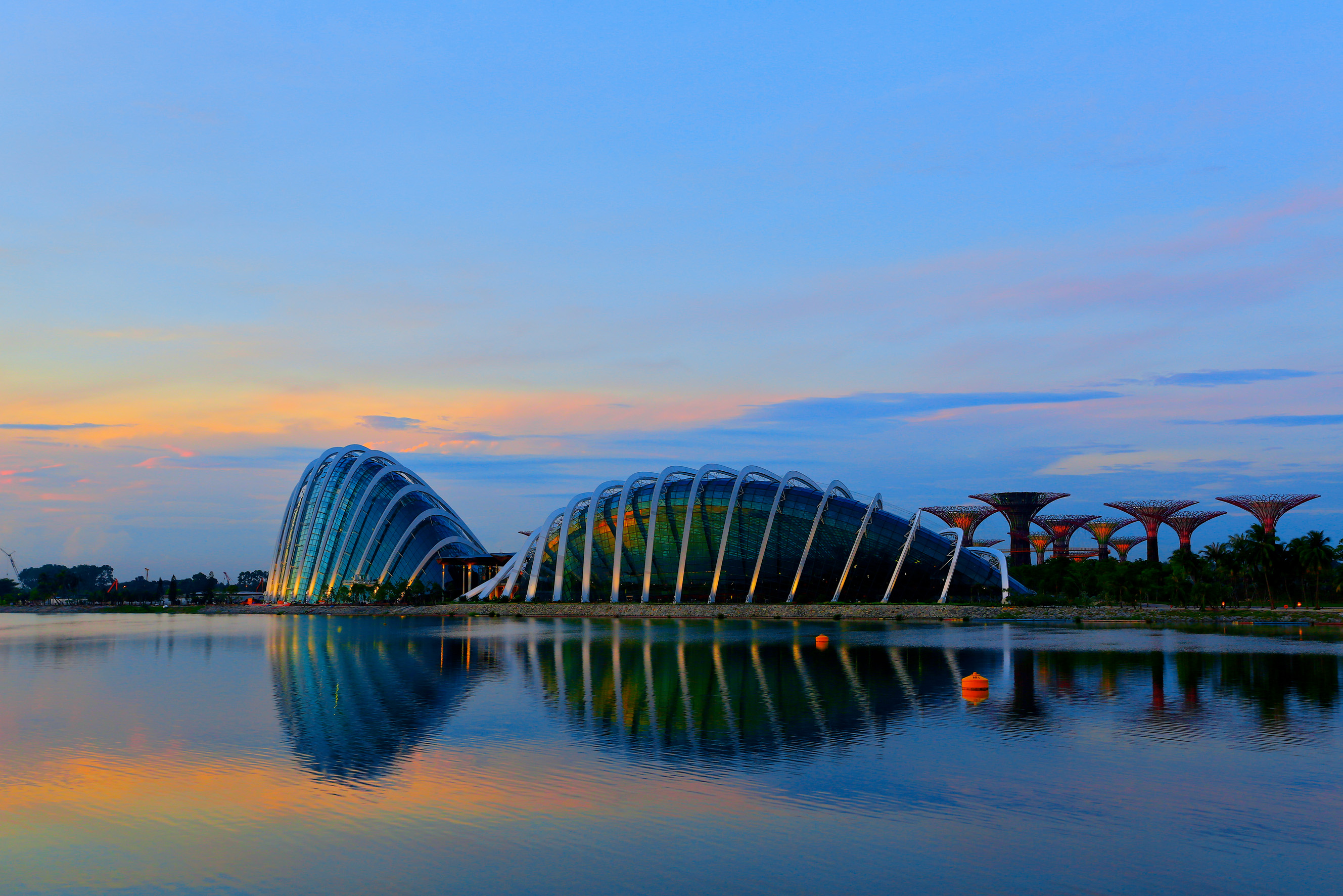 Gardens By The Bay + Supertree Observatory (Entry till 4pm)