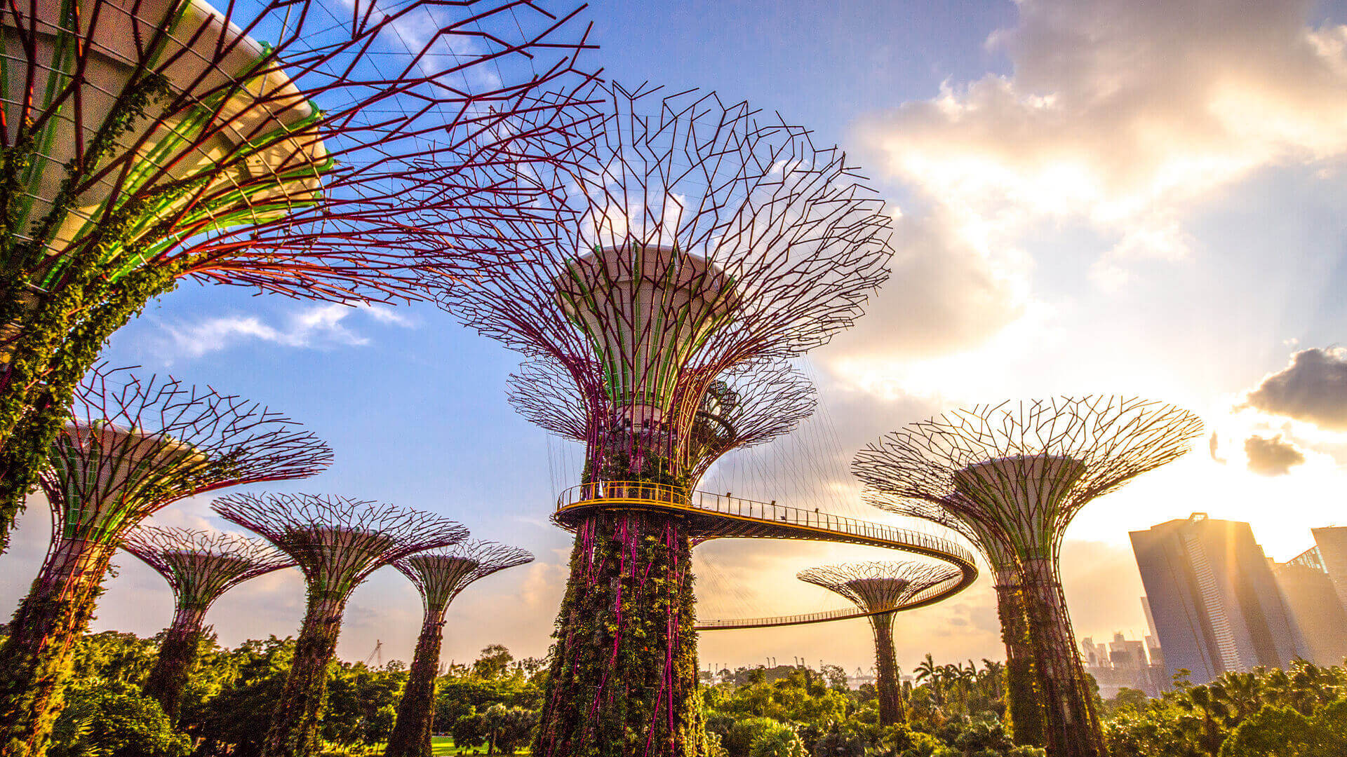 Gardens By The Bay + Supertree Observatory (Entry till 4pm)